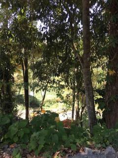 River Valley Holiday Retreat - 1