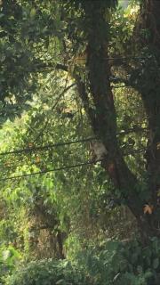 River Valley Holiday Retreat - 2