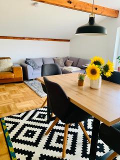 Schöne, große Ferienwohnung direkt am Donauradweg & Keltenstadt Heuneburg - Herbertingen - 6
