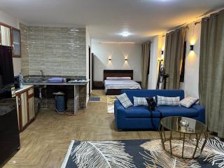 Studio 1 bed 1 bathroom +Kitchen - 8