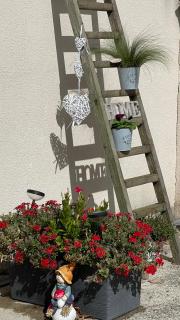 Studio les petits lutins - Entraigues-sur-la-Sorgue - 6