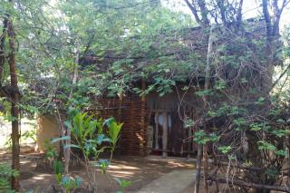 Iharana Bush Camp - Ambondromifehy - 1