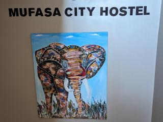 Mufasa city Hostel and Apartments - Arusha - 5