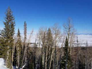 Whistle Pig Retreat at 22 West Cabins and Recreation - 3