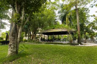Hotel Parkside & Swimming Pool-Between Greenery and Azure ,Your Perfect Retreat - Chitwan - 9