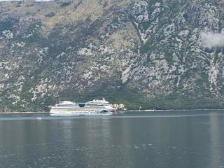 Boka bay seaview apartment - Kotor (Cattaro) - 5