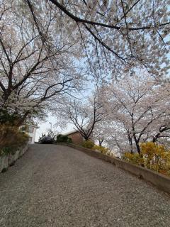 Forest Town House - Seoel - 3