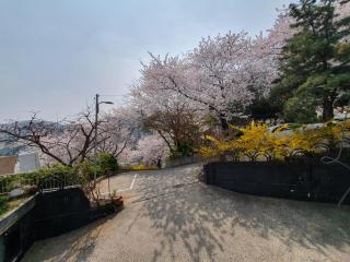 Forest Town House - Seoel - 2