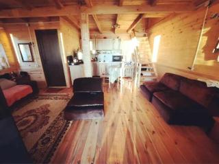 Cozy cottage in Bakhmaro - Bakhmaro - 5