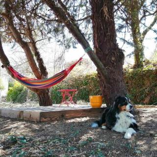 Moulin de la Passere - 3