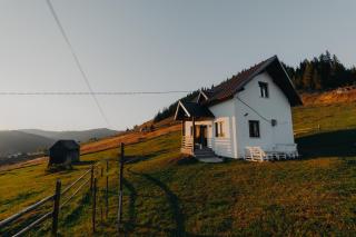 Pleta View - Vatra Dornei - 0