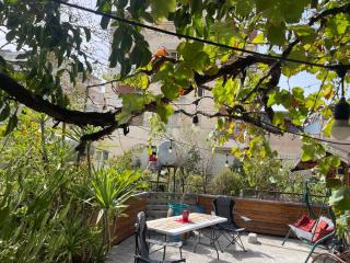 Prickly Pear Corner - Tirana - 0