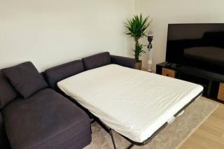 Magnifique appartement sur la seine - Alfortville - 8