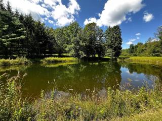 Sunday Hollow - Margaretville - 2