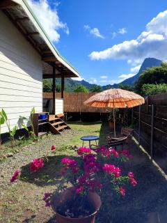 L'oiseau du Paradis Moorea - 5