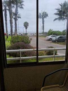 Palmar vista al mar - 3