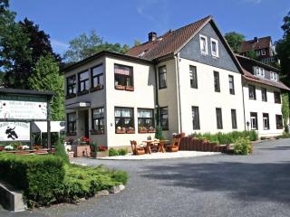 Enchanting holiday flat in the Harz Mountains - Wildemann - 0