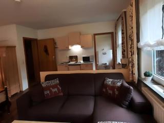 Enchanting holiday flat in the Harz Mountains - Wildemann - 7