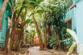 Banana Bungalow Maui Hostel - 8