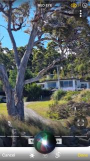 The Shack - Southport - 9