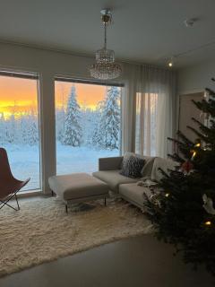 Villa Shooting Star - Rovaniemi - 2
