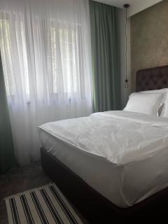 Vlasinsko jezero VILA BEST - 1