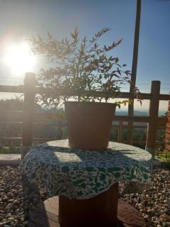 IL CORTILE DI GRETA - Lu - 5