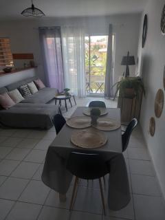 T2 COSY, LUMINEUX ET SPACIEUX - Cayenne - 9