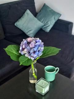 Eleonor Accommodation exclusive house - 1