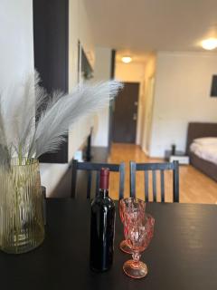 Tranzzit Airport Apartament - Otopeni - 3