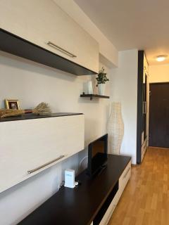 Tranzzit Airport Apartament - Otopeni - 1