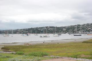 The Lookout - Thesen Islands - 3