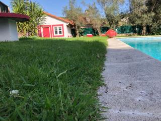 Lisbon Cozy House w/Garden and Pool - Valejas - 5
