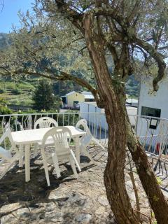 Appartamento Bouganville - Levanto - 7