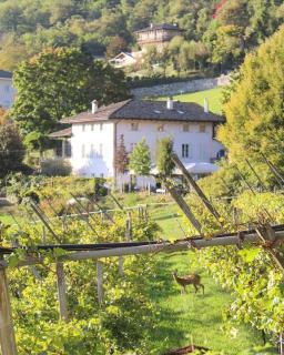 Agritur Cantina Romanese - Levico Terme - 6