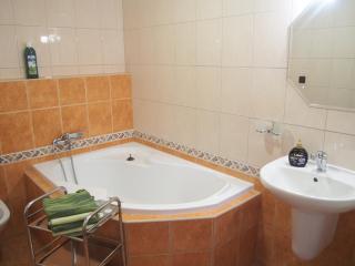 Hotel Olga - Slavkov u Brna - 9
