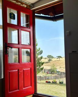 Brvnara ispod Čigote - Zlatibor - 9