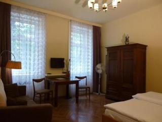 Charming Studio - Vienne - 0