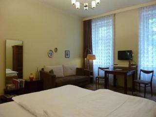 Charming Studio - Vienne - 4