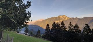 Appartement CHENILLE charmant 2 pièces plein pied avec jardin et vue magnifique - Leysin - 5