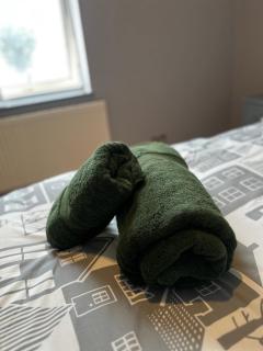 CENTRAL BIRMINGHAM 3 Bedroom 3 Bed Apartment - Birmingham - 7
