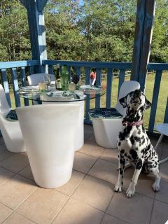 *A setting between Dordogne and swimming pool* - 4