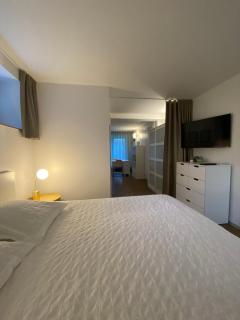 Chaleureux studio entre Neuchatel et Bienne - Le Landeron - 7