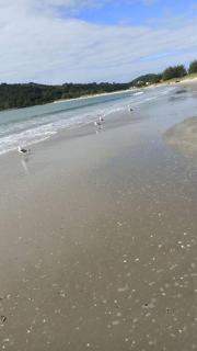 Apartamento na ponta do papagaio com dois quartos completo! A apenas 2 quadras do mar! - Palhoça - 3
