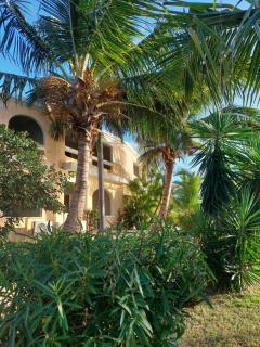 Northshore Seaside Suites - 3