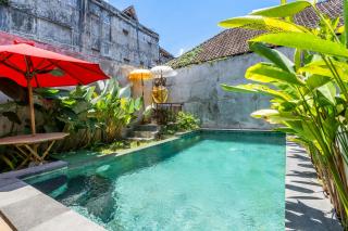 Raya Andong, Brand New 4 Bedroom Villa in Ubud - Ubud - 5