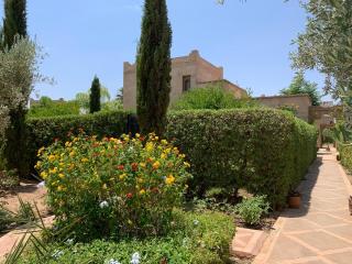 Rita House - Le Petit Paradis sur Terre - Douar Caïd Layadi - 3