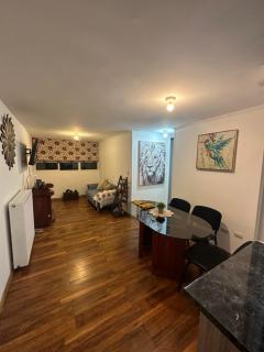 Apartamento punta Arenas - Punta Arenas - 1
