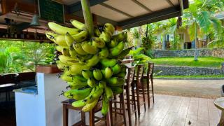 South Mountain Resort - Siquijor - 8