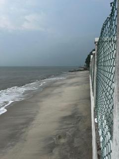 The Beach Inn - Tanjung Bungah - 4